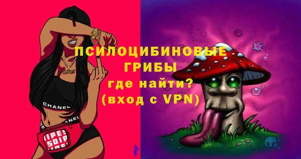 СК Богданович