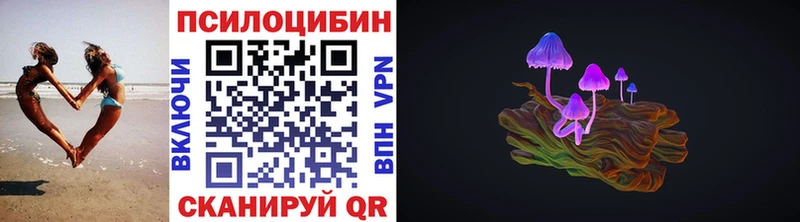 Купить закладки  Бобров  Галлюциногенные грибы MAGIC MUSHROOMS 